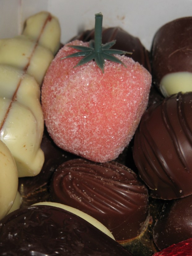 morguefile0001542430377