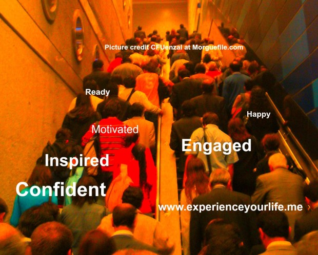 A Step Towards Greater Job Satisfaction