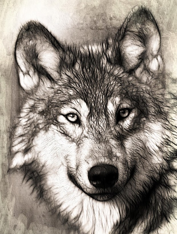 How Does Your Good Wolf Inspire Others?